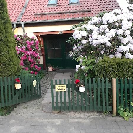 Harzglueck Villa Тале Екстериор снимка