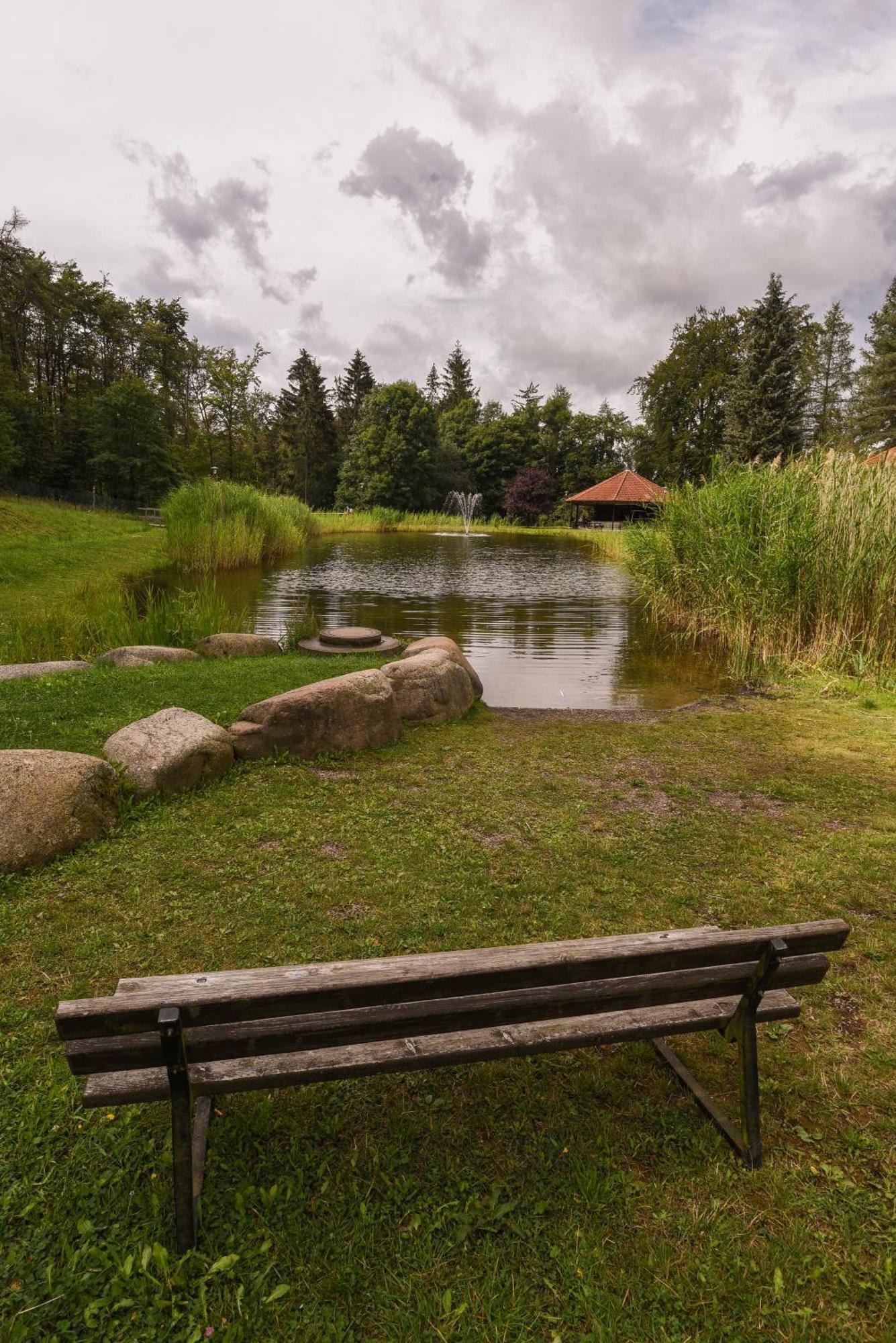 Harzglueck Villa Тале Екстериор снимка