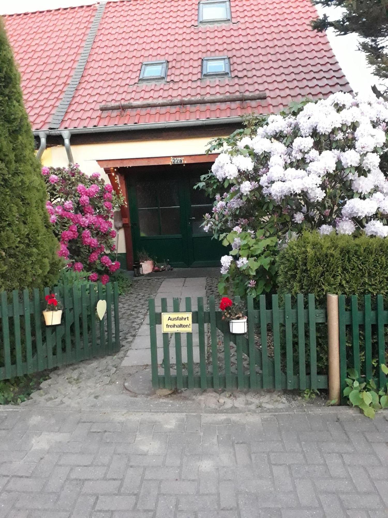 Harzglueck Villa Тале Екстериор снимка